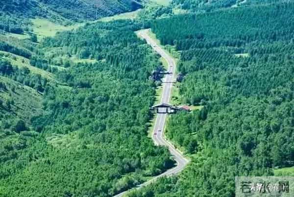 一个女人，愿意跟你保持特殊的关系，一定不要伤害她，她会伤心的