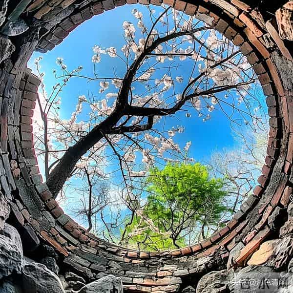 老了才明白：父母开始看你脸色，不是他们怕你，而是他们已经老了