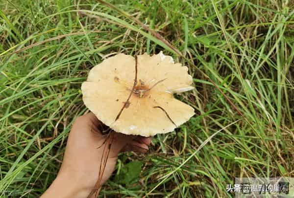 一个很厉害的本事，当一个人不尊重你时，比翻脸更狠的是这2招