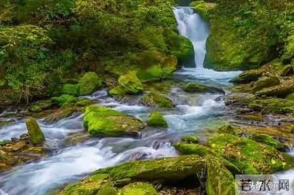 一个女人，愿意跟你保持特殊的关系，一定不要伤害她，她会伤心的