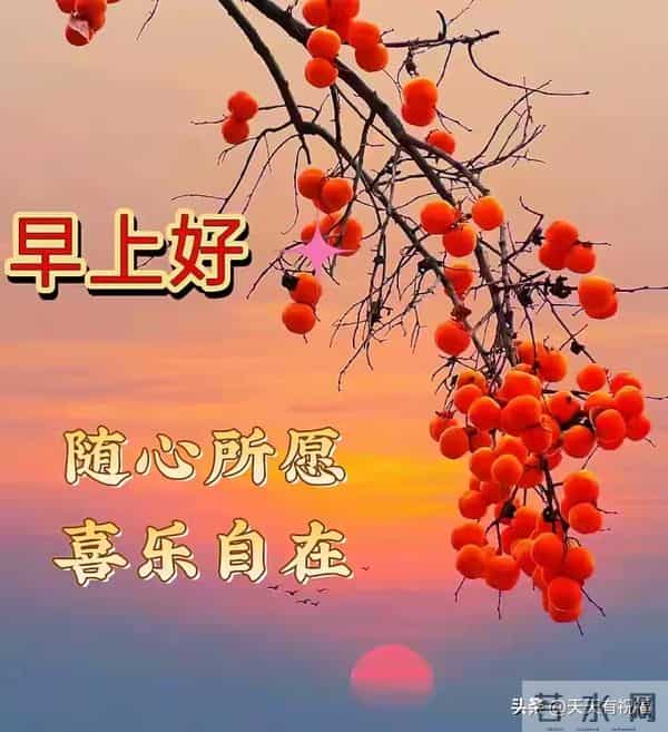 2025年12月15日早上好 ！周一愉快 早安精美美图温馨祝福语 早上好！
