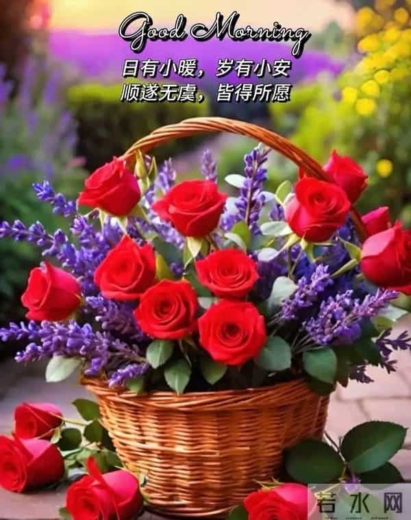 早安祝福大全- 生活总有起落,保持微笑,低谷时沉淀,高峰时绽放