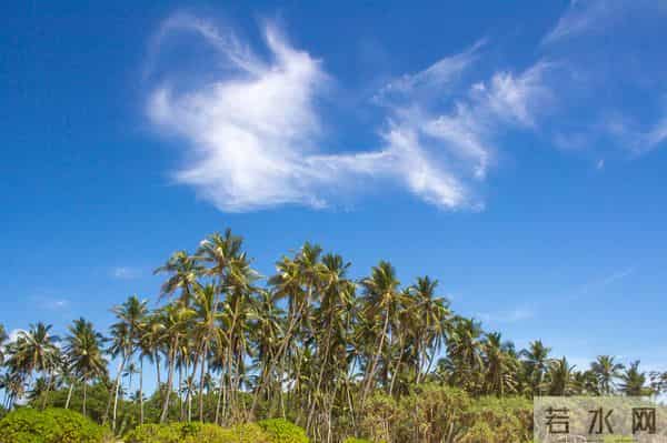 女人爱不爱你,身体语言很诚实