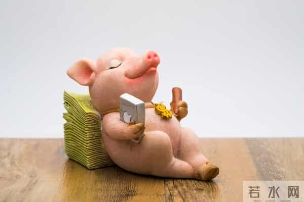 属猪人的后半辈子，特别强调1971年的，不是一般的准！