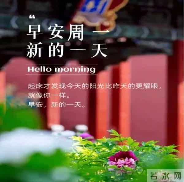 2025.12.15周一早安图片-祝你早安多吉祥,福气洒满整个群