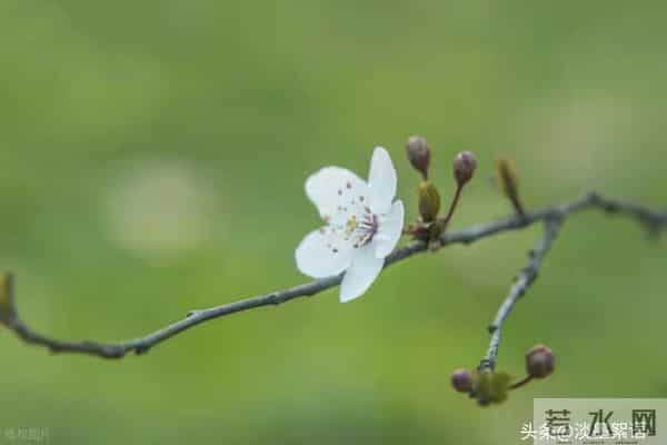 当你老了,躺在病床上就会明白:真正陪你走到最后的,只有一个人