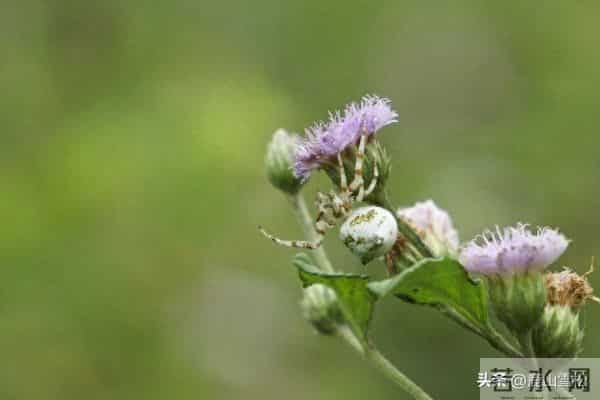 女生想“泡你”的4大信号，别让机会溜走！