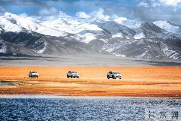 岁末启新章：2026，三个星座的向上之路