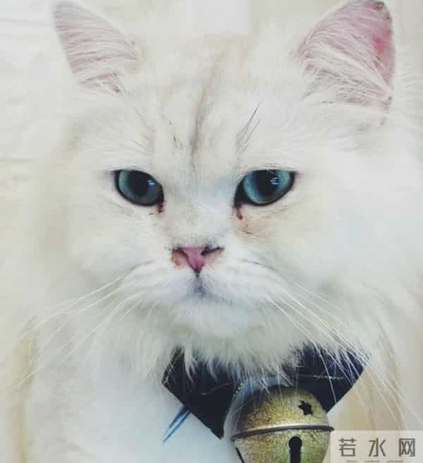 人有没有本事一看脾气便知，脾气越倔强、越硬的人，命越薄。