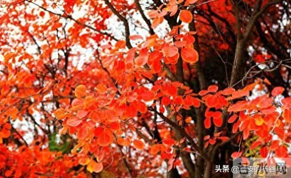 亲戚淡了,就淡了吧,人到中年的一些事。