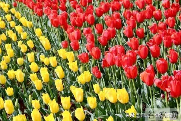 夫妻到了七十岁,还能同居,只有三种情况