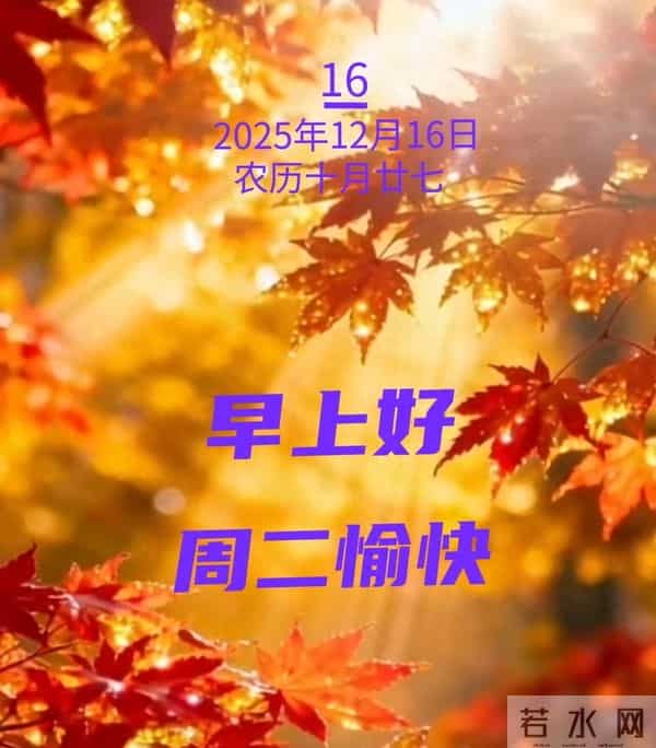 2025年12月16日早上好 早上好温馨问候祝福语 早安精美图片 周二愉快