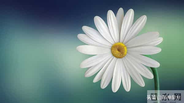 午马,12月16日17号,尤其是17号,不要怀疑,这是天意!