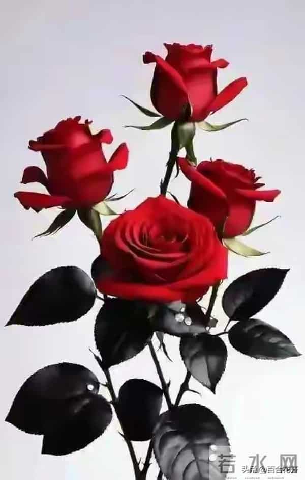 切记：人过60，永远不要在熟人面前，说以下几句话，谁说谁后悔