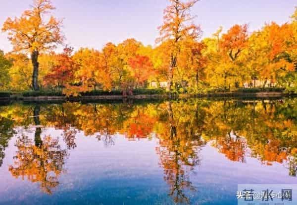 忠告子女：再孝顺，也不要为年过75的老父老母，做这些事