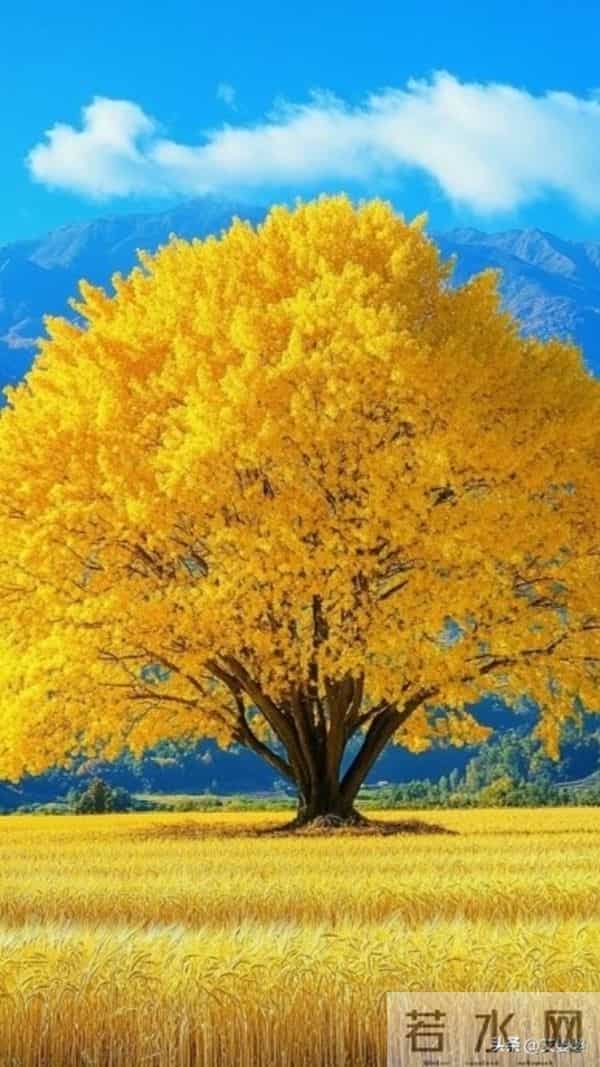 先把自己从情绪的泥沼里拉出来，再教别人怎么上岸