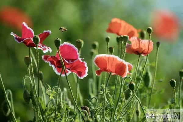 从今天起，所有霉运全部清零！未来日子，全是顺风顺水、别忘接收