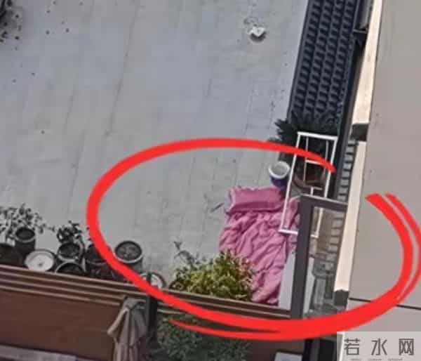 28岁女教师跳楼再添悲伤!同事曝心碎细节:早有暗示,却没人懂她