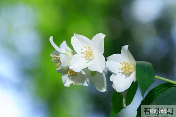 女人真心想你了，不会直接说“我想你”，而是给你这些暗示