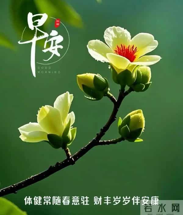 12月15日早上好 早上好温馨问候图片 早安图片最新今天 早安吉祥