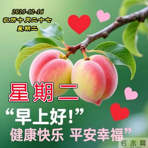 早安周二美图-问候是美丽的鲜花，惦记是情感的升华。