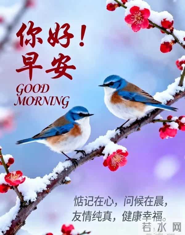 「2025.12.16」今日唯美早安祝福图片问候，温馨早上好祝福语