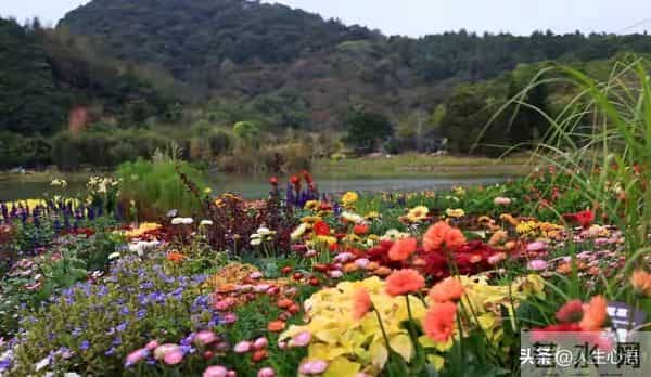 两性关系-55一65岁黄金十年，最高级的惜命，是修好这6颗“心”