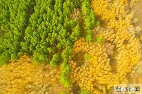 老了才懂，永远不要在兄弟姐妹面前，随口说这5句！再亲也不行！