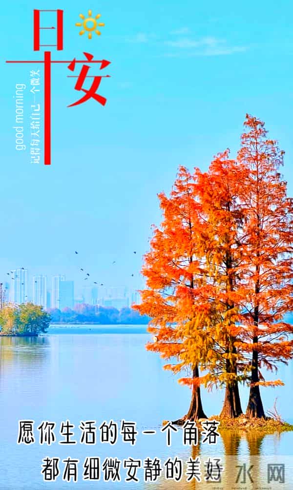 2025年12月15日周一早安 早上好图片最新今天 温馨淡雅的早安图片