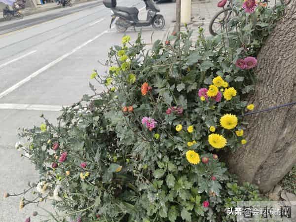 人到中年才懂-人不需要太用力走近任何人，只需要用力走向自己。