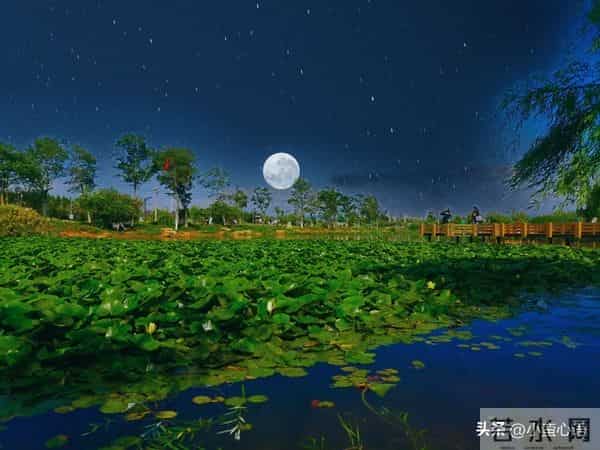 两性警示：如果还想多活几年，65岁以后必须牢记这6句话