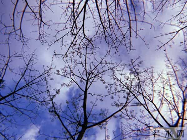 我发现：越是独来独往、没有朋友、不合群的人，人品往往越没问题