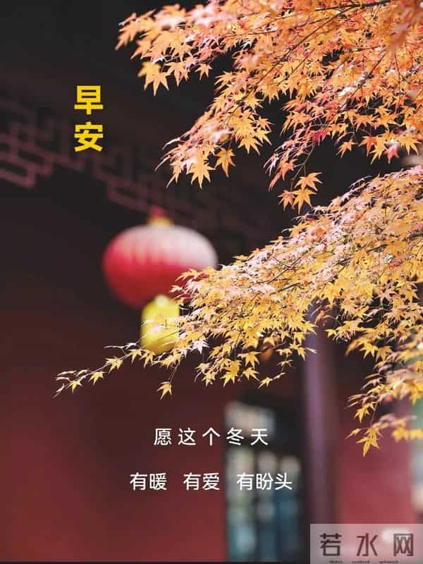 早上好早安祝福美图-冬藏福气，岁有余庆
