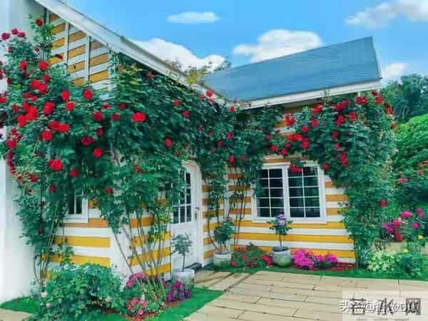 两性交往，刺激女人荷尔蒙的6个“心”开关，让她彻底为你沦陷