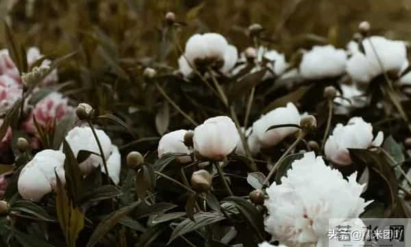 和女人相处久了才懂:除了生理需求,她们更渴望这3种深层满足