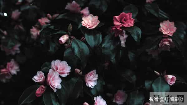 第三名:天蝎座,12月15号,接下来14天,就要喜从天降了!