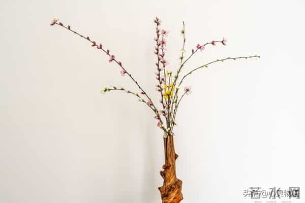 离婚当天，老公提出再同居一晚，女人：结婚八年，他却如此陌生