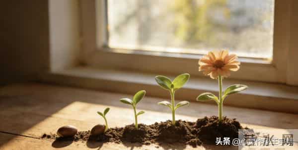 每一个今天都不可复制，多走一步就多份成长，持续向上终见优秀