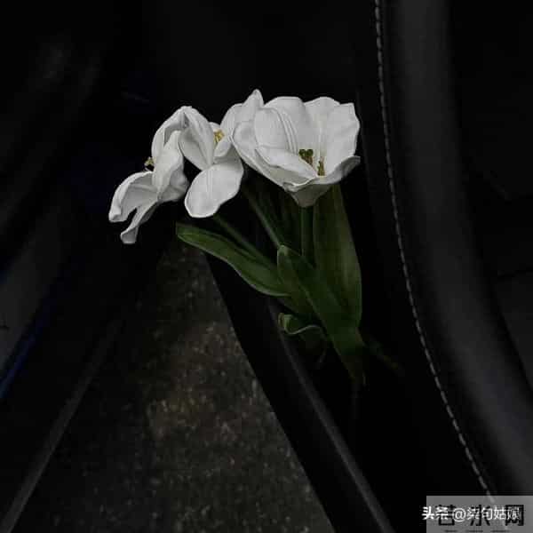 心累了这么发，某人看了心疼你