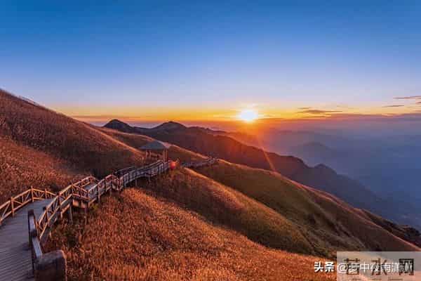 坚韧不拔的意志，金牛座