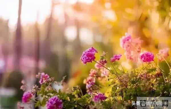 未来两年，这四大星座注定暴富？真相可能和你想的不一样