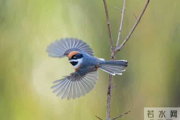 我60岁，找了个52岁女搭伙过日子，发现：女人年纪大了照样“作”