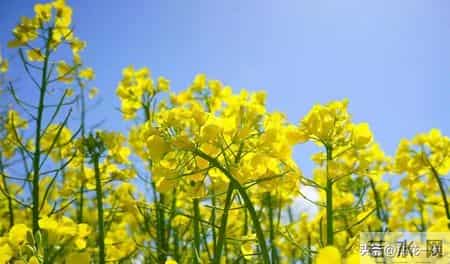 安徽这 4 个县，被联合国评定为 “千年古县”，有你家乡吗？