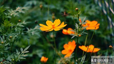 巳蛇要“笑醒”了,12月19日后九天,你将会遇见你最大的1位贵人