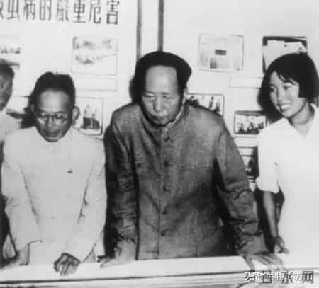 美国教授：了不起，中国1969年的这本手册，就连美国也翻印