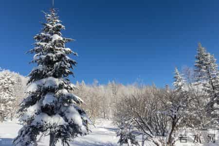 今年冬至不一般,逢甲子,“冬至甲子头,见雪必定收”,啥意思?