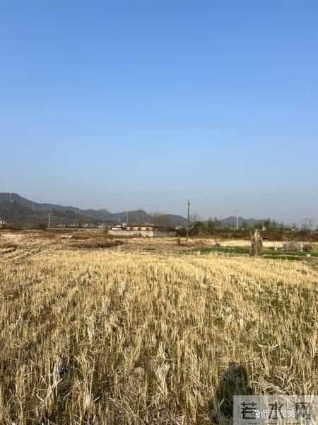 不是迷信！明日十月二十九，记得：1不去、2不做、3不问、4要吃！