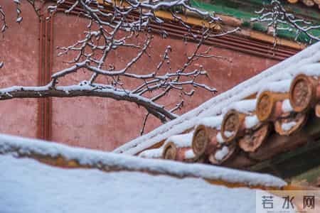 咏雪最好的8首诗词，藏着千古名句，哪一首才是你心中的第一