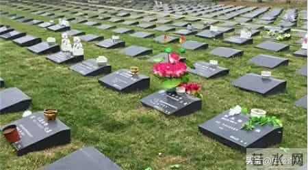 “火葬”将被淘汰？新方式已经在国内试用，很多人表示不能接受