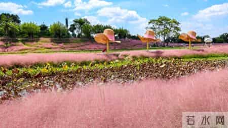 生肖蛇12月19日至22日,这三大风险要当心!再忙也得看看